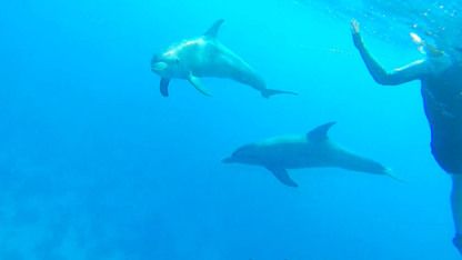 Charter Motorboat Monterey 150 Hurghada