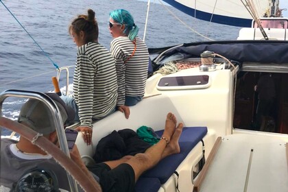 Bavaria 50 Cruiser -  15,40m  Melodia