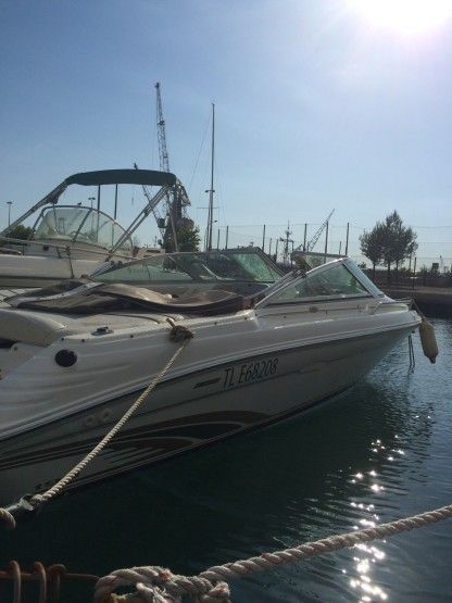 Rental Motorboat Sea Ray 190 Bow Rider Toulon