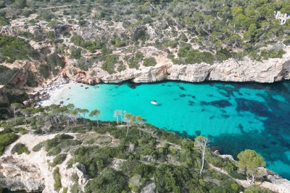 Semirrígida  caribe 15 ( princess )