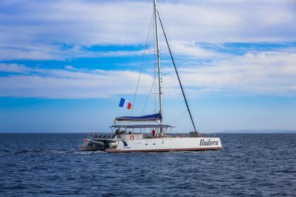 Rental Catamaran Day one 75 Hyères