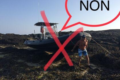 Miete RIB VAILLANT DR 750 Le Havre