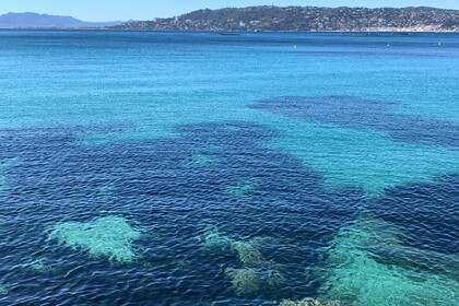 Beneteau Flyer Sundeck 7.7 avec Skipper Expérimenté