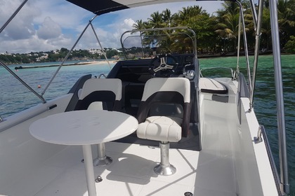 barca per visitare le isole e mangrovie