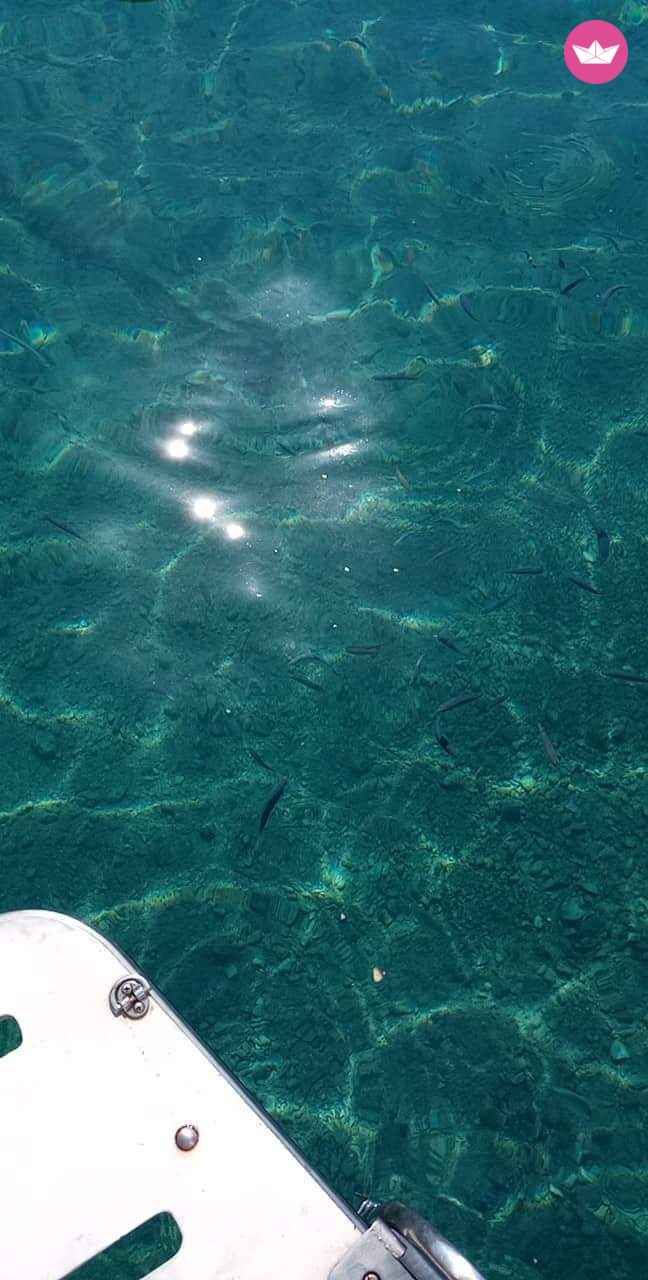 Motorboat Princess 55  