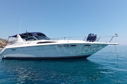 Verhuur Motorboot Sea Ray 335 Sundancer San Remo