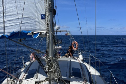 Jeanneau Sun Liberty 34