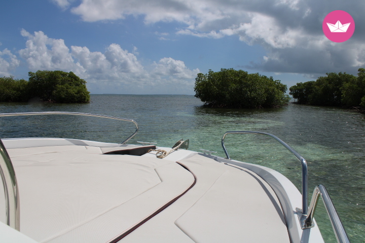 Bateau à moteur Beneteau flyer 6.6 Sundeck 200cv 7