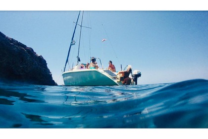 Perdiendo el Norte Ibiza