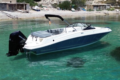 Bayliner VR6 con arco de Waveboard