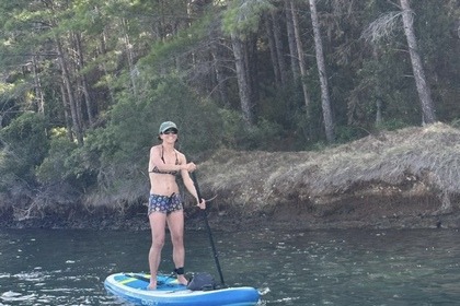 BOAT CHARTER FOR DAILY & WEEKLY HIRE