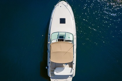 Sea Ray 240 Sundancer