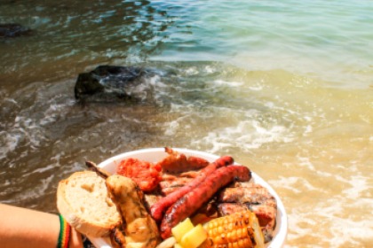 Motor catamaran Puma