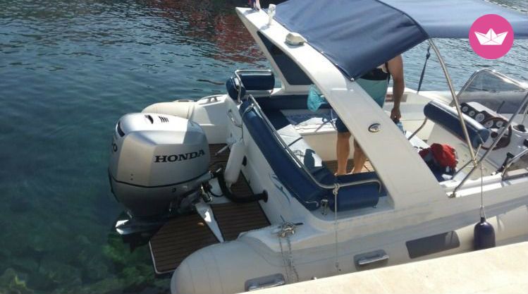 RIB Shark 23 for hire