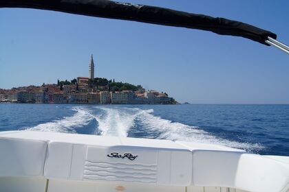 Sea Ray Black Diamond II. - 210 SPX