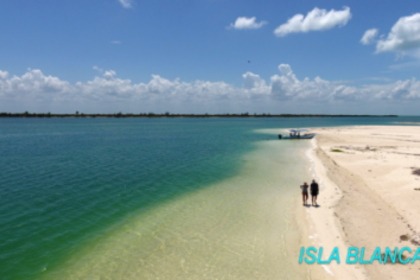 Meridien 43 fly bridge