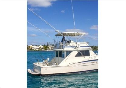 Location Bateau à moteur Chris Craft 480 Nassau