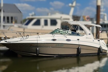 Miete Motorboot Sea Ray 315 Sundancer Thorn