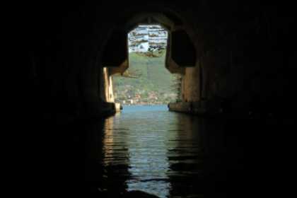 Quicksilver Commander 555