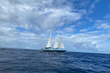 Hyra båt Segelbåt Southern Ocean Ocean60 Martinique