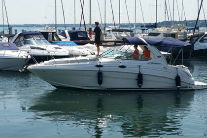 Charter Motorboat SEA RAY 315 SUNDANCER Moniga del Garda