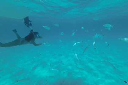 SANS PERMIS  COMPASS GT