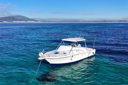 Rental Motorboat Pursuit Offshore 3000 Alghero