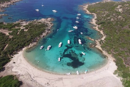 Cap Camarat 650 with permit - Cupabia and Campomoro Beach