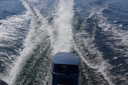 Location Semi-rigide Tiger Marine Dive Master 500 Le Barcarès