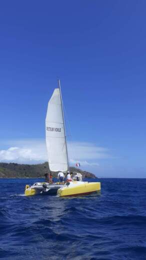 catamaran corneel 26 love