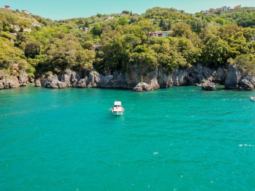 Motorboat Cinque Terre Gozzo in legno - All inclusive Plan du bateau