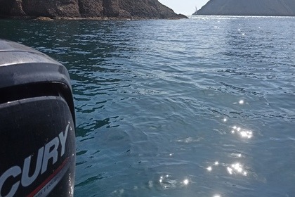 Quiccksilver Activ 555