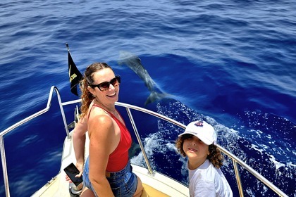 ETAP Bertram 28 Tenerife dedicated to fishing