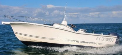 Charter Motorboat White Shark 205 Quiberon