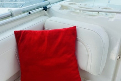 Enjoy between lake and mountains aboard our magnificent Bayliner 255!