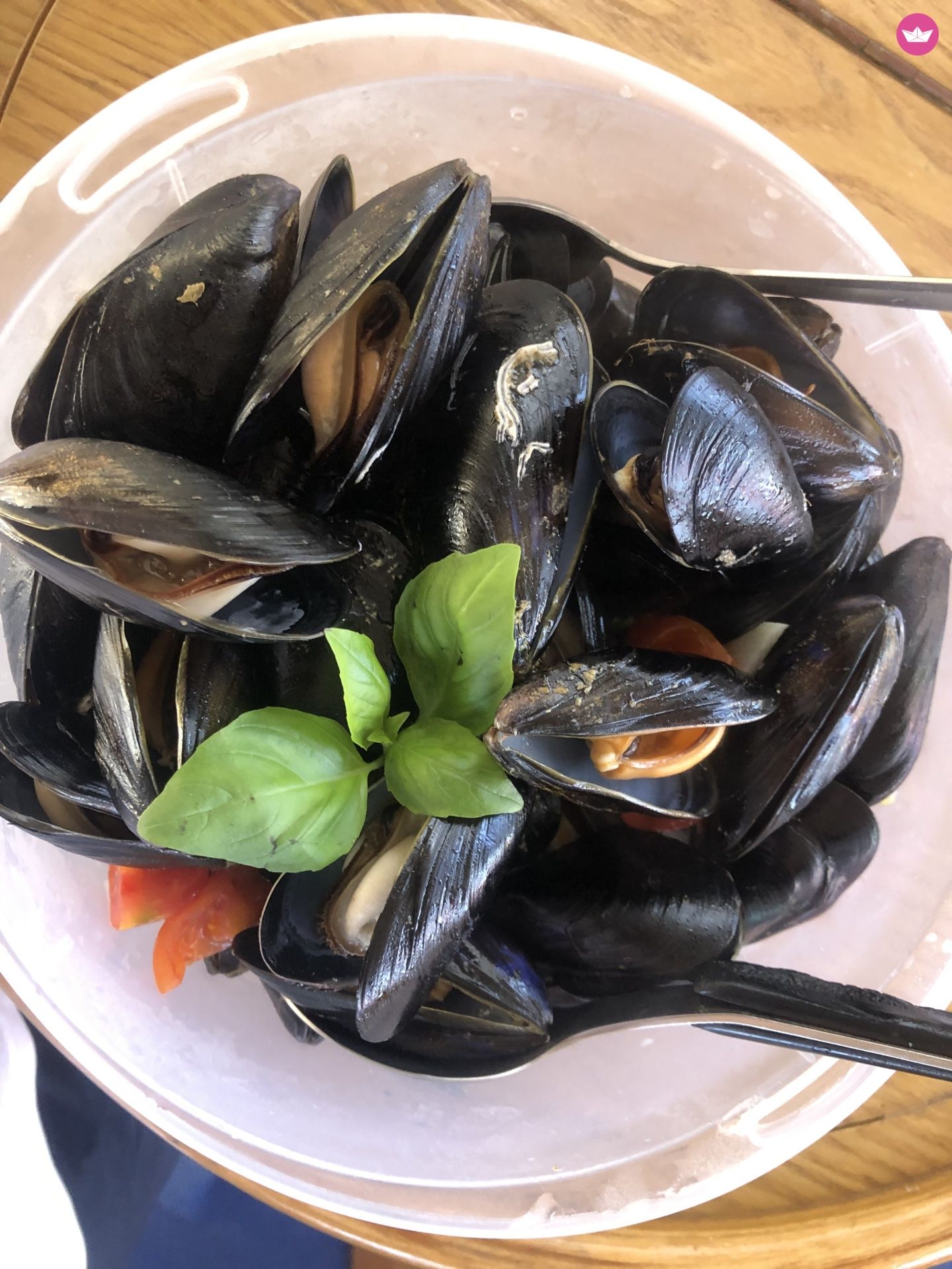 Motorboat Fairline Phantom 41 for rental