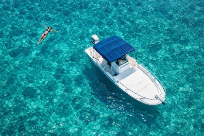 Charter Motorboat Boston Whaler Dauntless 22 La Spezia