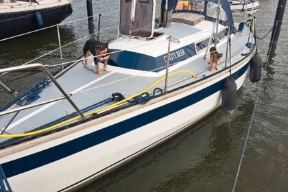 Rental Sailboat Dompkruizer Dompkruizer 825 Lelystad- Haven