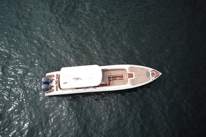 Bote deportivo de lujo hasta 20 personas