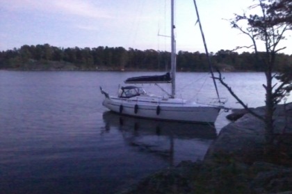 Miete Segelboot Bavaria 38 Cruiser Stockholm