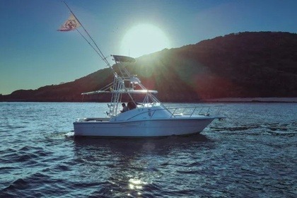 Luhrs 34 Sportfisher