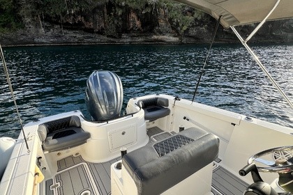 Rental Motorboat Wellcraft 220 fisherman Fort-de-France