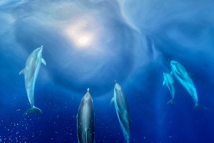 Janneau Cap Camarat 7.5 WA S2