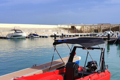 SkipperCat's WHALY - WITHOUT LICENCE