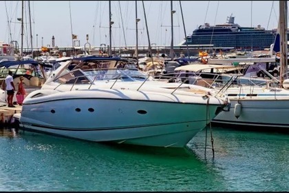 Charter Motorboat SUNSEEKER Portofino 49 Ibiza