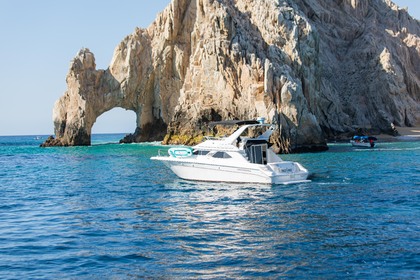 Charter Motorboat Sea Ray 440 Cabo San Lucas