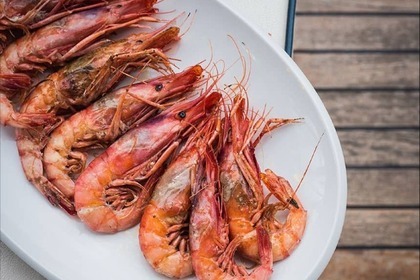 , charters tripulados en Costa Brava