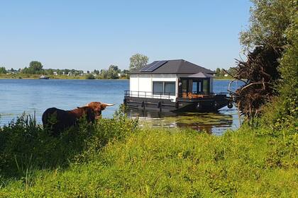 Hire Boat without licence  Henkelman Rivercottage 1100 Kerkdriel