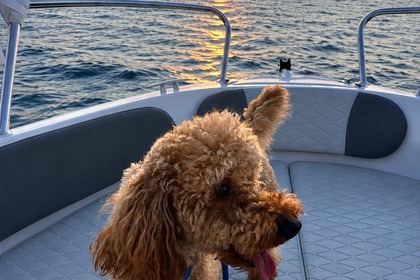 Verhuur Motorboot Albatros WA Porto Cesareo