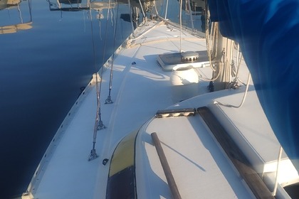 Sunset and diner in the bay